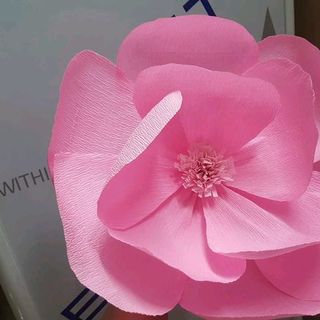Hoa giấy