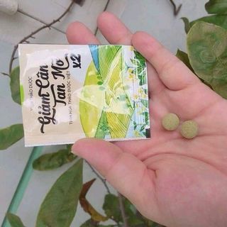 nấm giảm cân tan mỡ