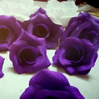 Hoa giấy to