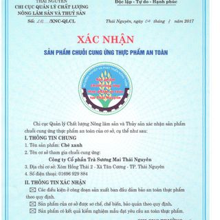 MATCHA TRÀ XANH NGUYÊN CHẤT