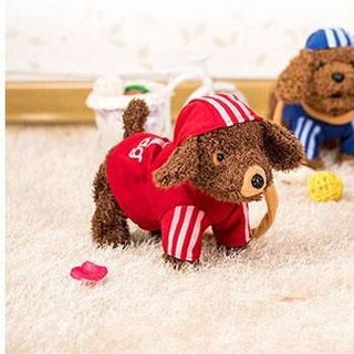 CHÓ BÔNG BIẾT ĐI BIẾT HÁT