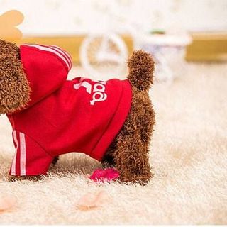 CHÓ BÔNG BIẾT ĐI BIẾT HÁT