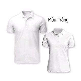áo thun trơn cá sấu