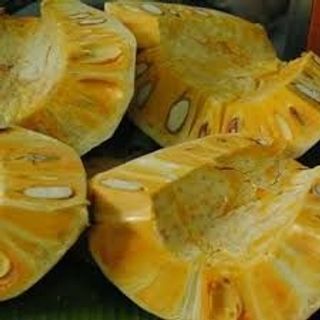 Mít thái vườn