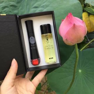 Son roses - Son kem lỳ - minigarden