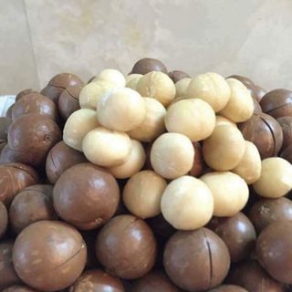 Hạt macca Úc