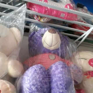 gấu bông teddy 12m
