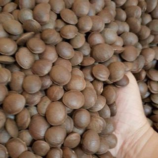 hạt sa chi 1kg