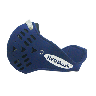Khẩu Trang Neomask NeoVision