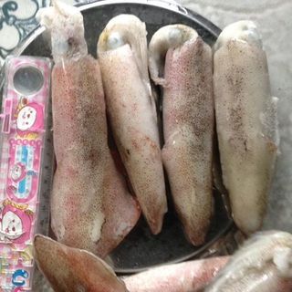 Đại lý chuyên bỏ sỉ mực các nục