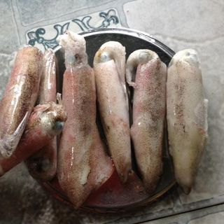 Đại lý chuyên bỏ sỉ mực các nục