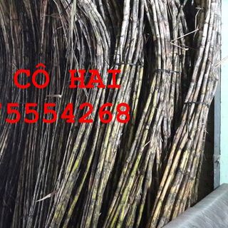 Nước Mía bán theo lít