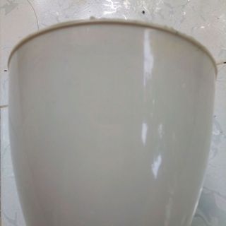chậu táo 16x14