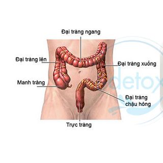 cà phê detox