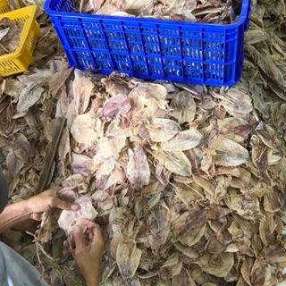 Mực khô Kiên Giang