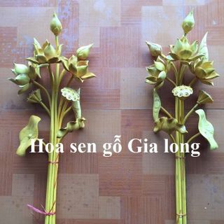 Hoa sen gỗ mít
