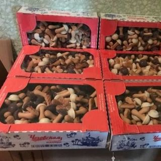 Bánh nấm 300gr