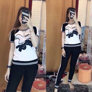 đồ bộ da cá đẹp cực