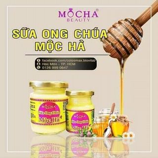 sữa ong chúa giá sỉ