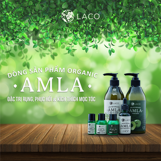Dầu Gội Đặc Trị Rụng Tóc AmLa