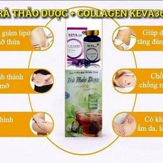 trà thảo dược