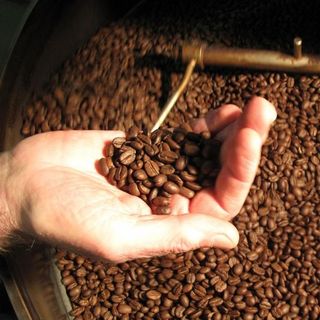 Cà phê hạt nguyên chất 100 giá sỉ