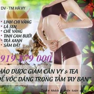 Giảm Mỡ - Trà Thảo Mộc Chiết Khấu Cao