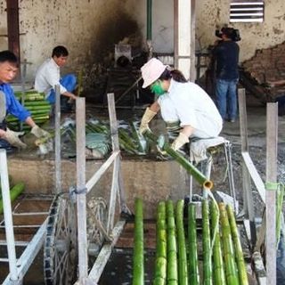 Chiếu trúc Tây Bắc - Cao Bằng Việt Nam