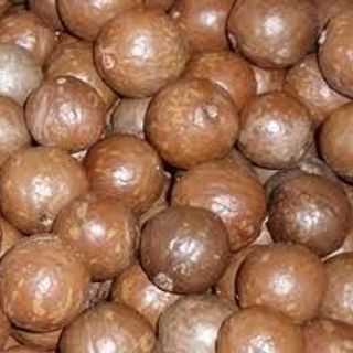 Hạt mắc ca