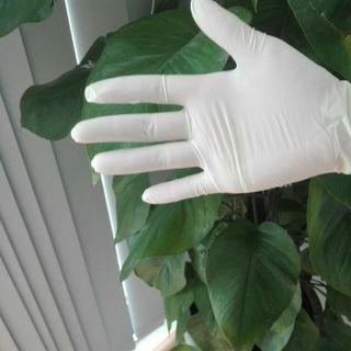 Găng tay cao su có bột latex