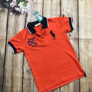 HÀNG SALE-áo thun cá sấu size đại