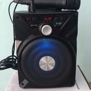 LOA KARAOKE P88 P89 loai 1