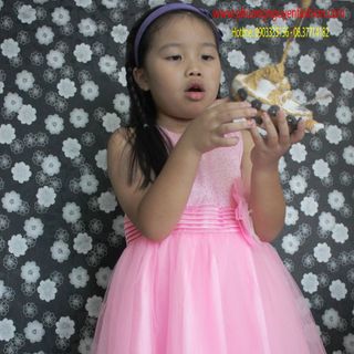 Đầm công chúa