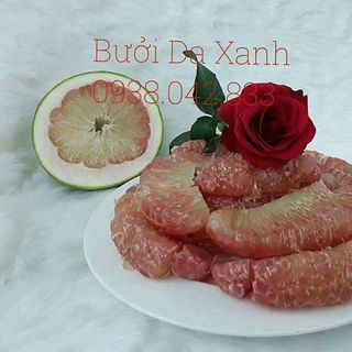 BƯỚI DA XANH BẾN TRE CHÍNH GỐC