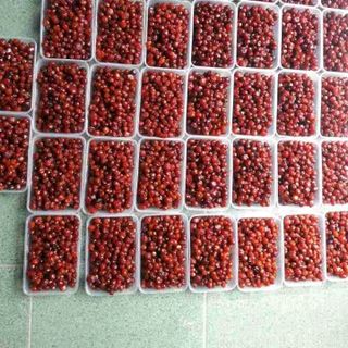 mứt chùm ruột