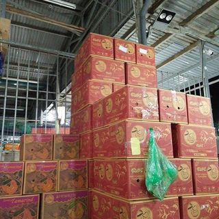 ME Sấy THÁI LAN NGỌT