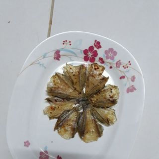 khổ cá chốt