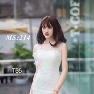 ĐẦM BODY