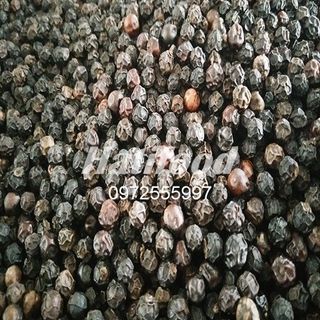 Hồng Tiêu Phú Quốc 100 ko pha