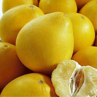 Bưởi Diễn Hà Nội