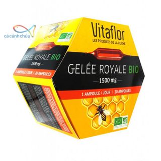 Sữa Ong Chúa Vitaflor Bio 1500mg Pháp