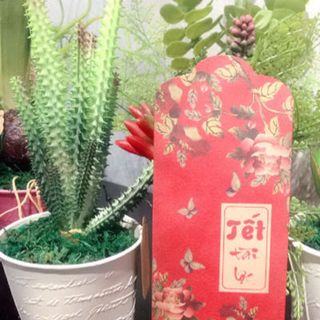 lì xì tết