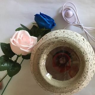 Đèn đốt tinh dầu điện gốm lá trắng