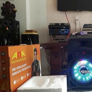 Loa Kéo Caliana TX08 HITECH