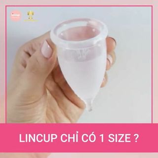 CỐC NGUYỆT SAN LINCUP