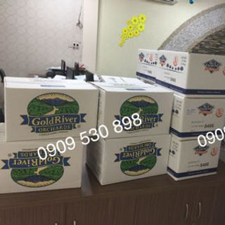 Hạnh nhân Mỹ trực tiếp
