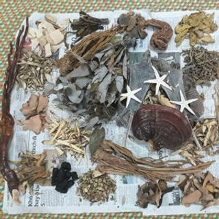 thang thuốc minh mạng lớn