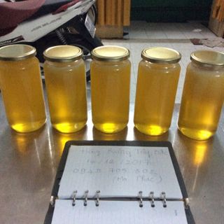 mật ong rừng hoa bạc hà