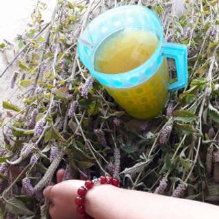 mật ong rừng hoa bạc hà