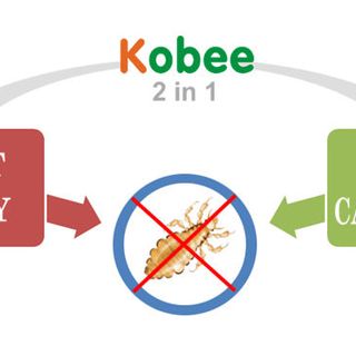 Dầu Gội Trị Chấy KOBEE